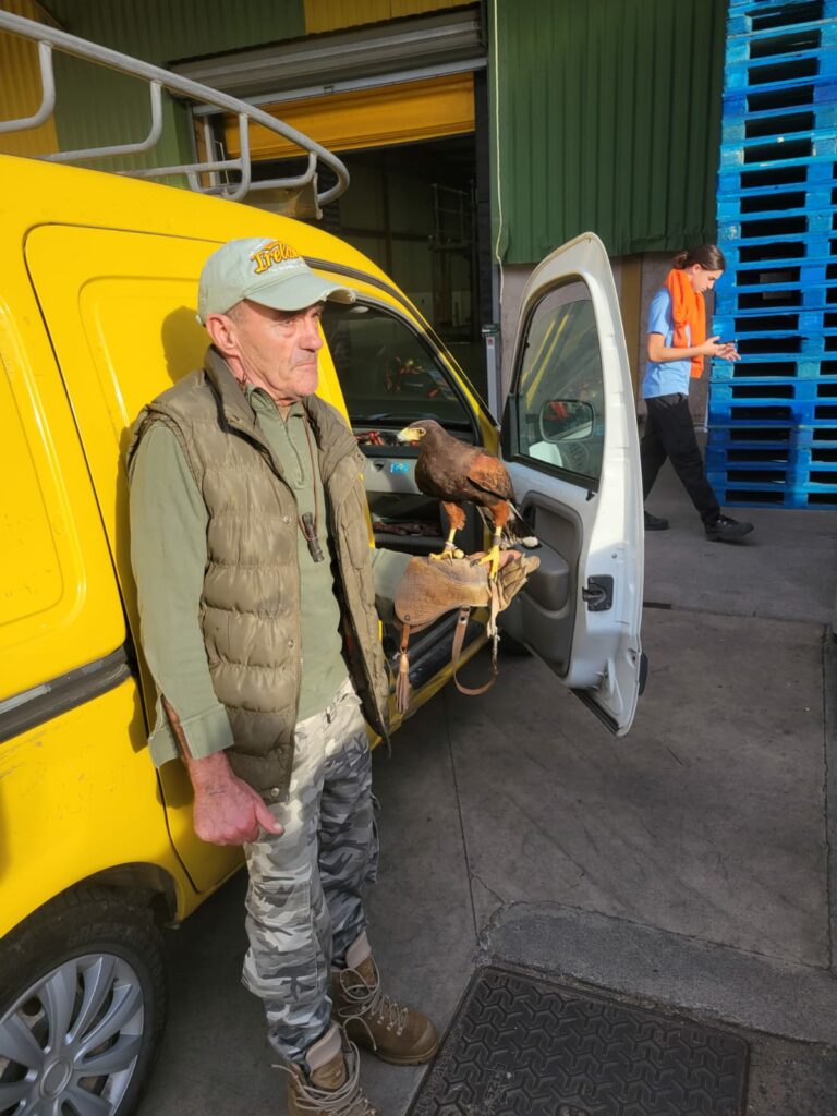 WhatsApp Image 2025-11-06 à 15.18.53_836446cf